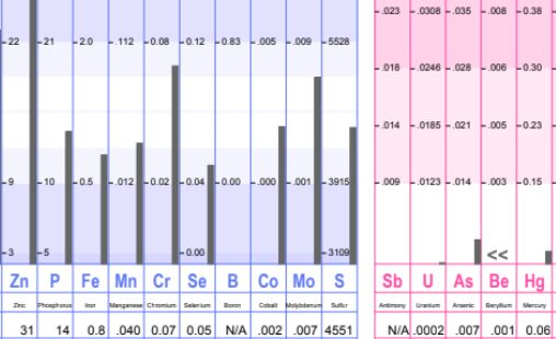 A snapshot of a hair analysis result, bar graphs of different elements and a numerical representation of the amounts